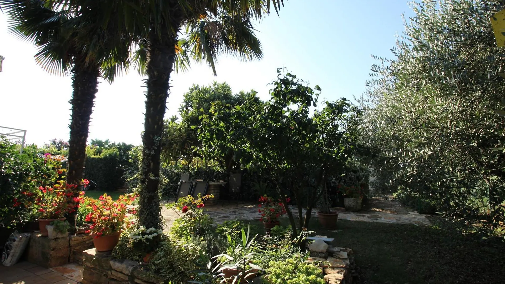 Leopolda Ap6 Διαμέρισμα Novigrad Istria